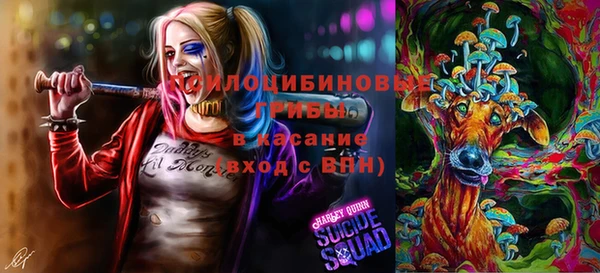spice Алзамай